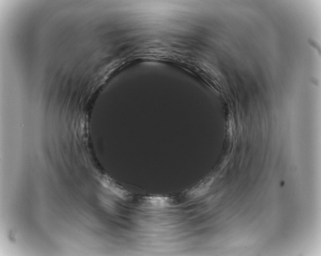 X0000099380233200805081453