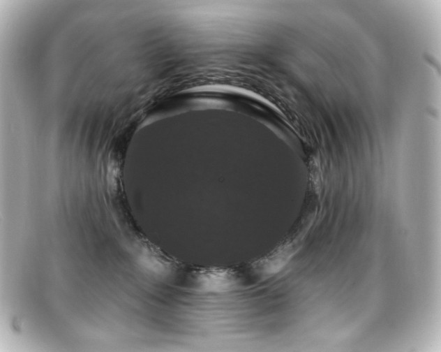 X0000099380235200805081453