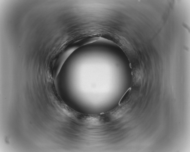 X0000099380236200805081453