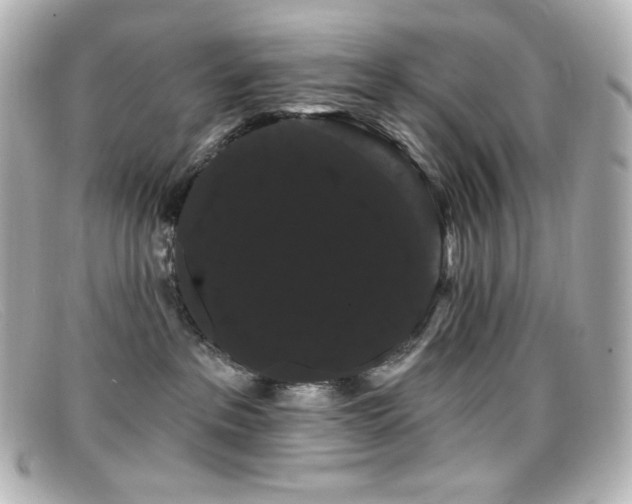 X0000099380237200805081453