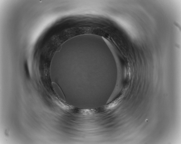 X0000099380239200805081453