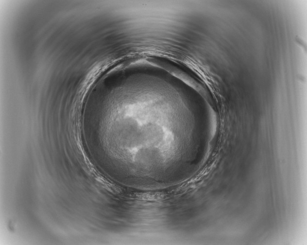 X0000099380241200805081452