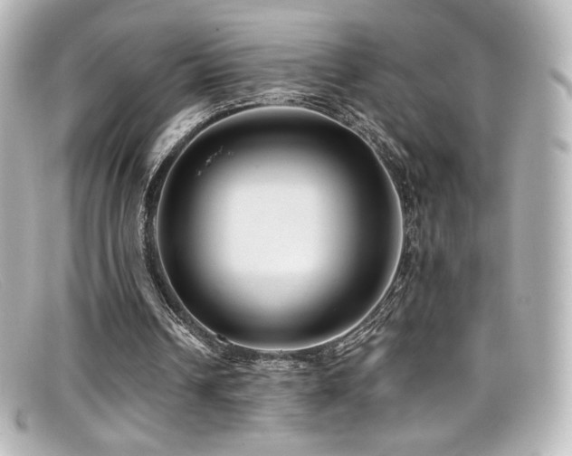 X0000099380242200805081452