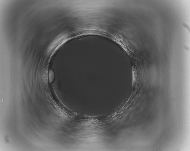 X0000099380243200805081452