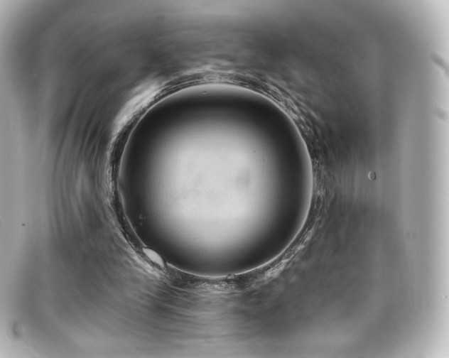 X0000099380245200805081452