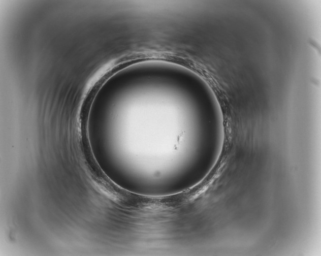 X0000099380246200805081452