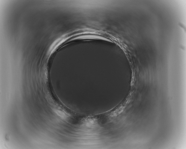 X0000099380247200805081452