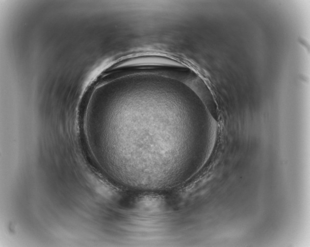 X0000099380248200805081452