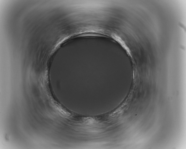 X0000099380249200805081452