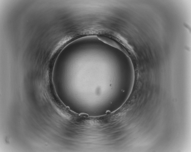 X0000099380250200805081452