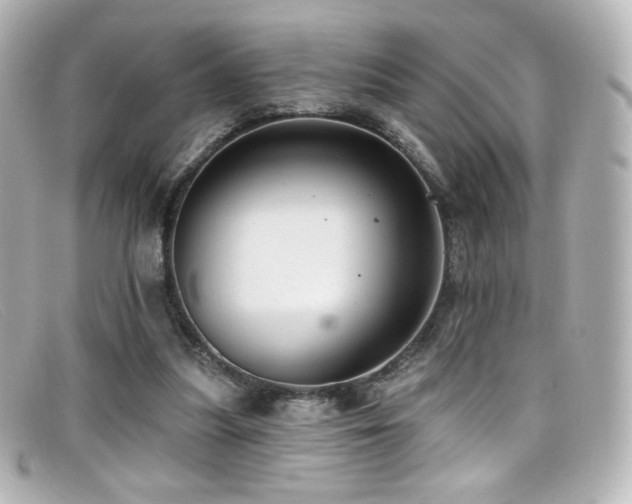 X0000099380251200805081452