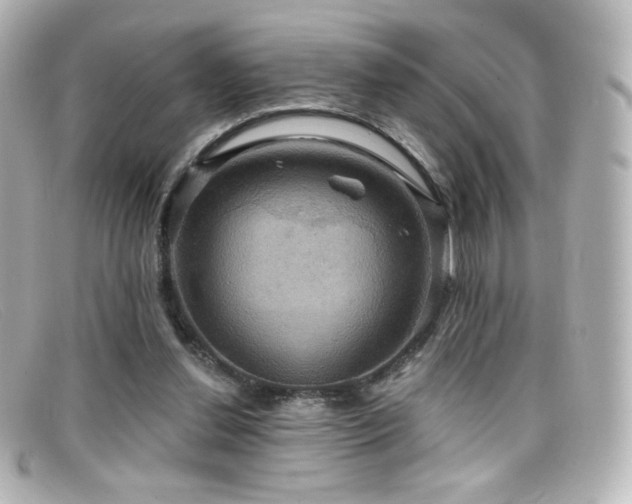 X0000099380252200805081452