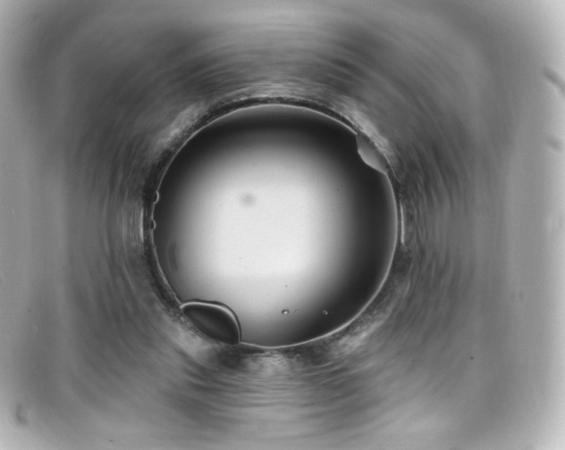 X0000099380253200805081452