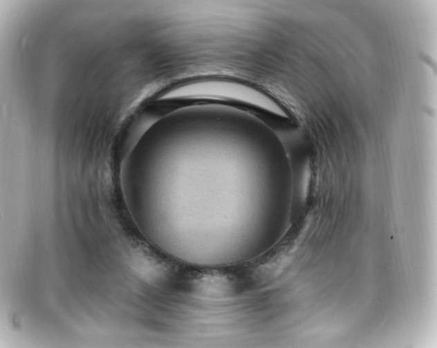 X0000099380256200805081452