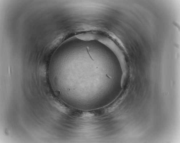 X0000099380257200805081452