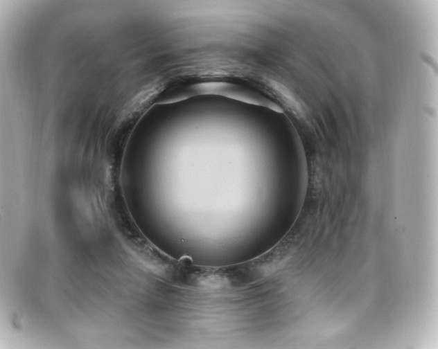 X0000099380258200805081452