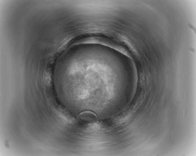 X0000099380259200805081452