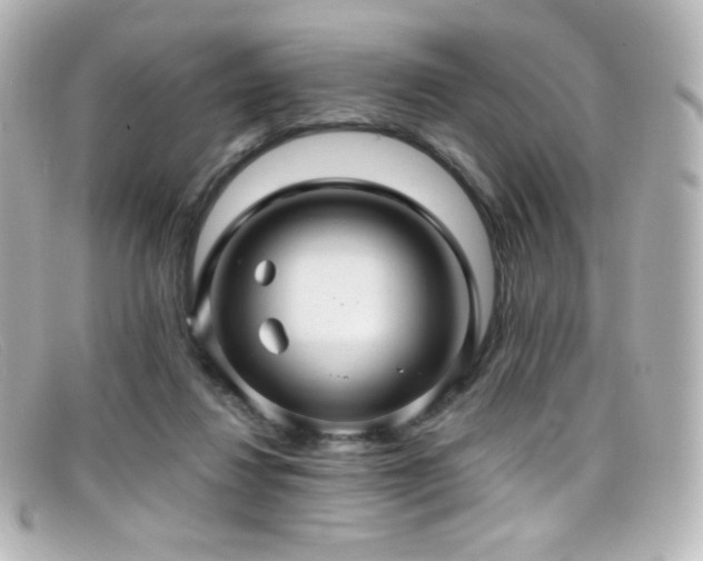 X0000099380260200805081452