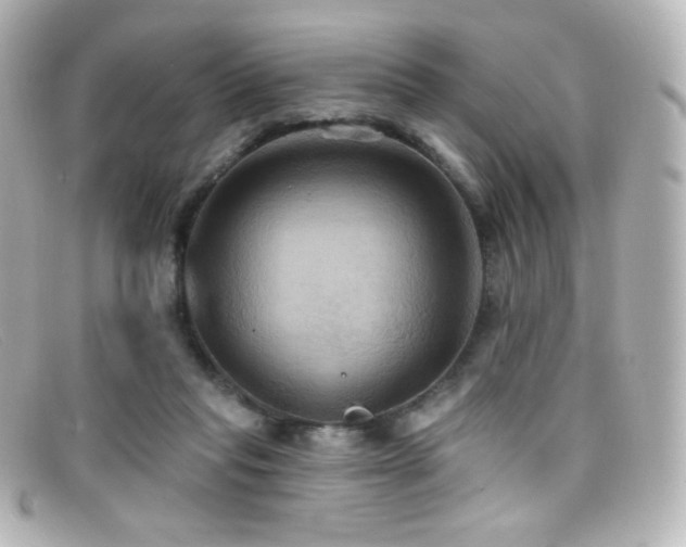 X0000099380261200805081452