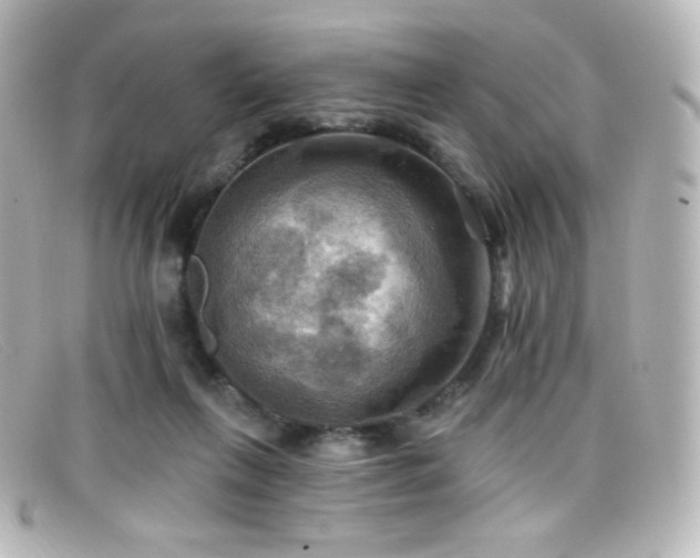 X0000099380263200805081452