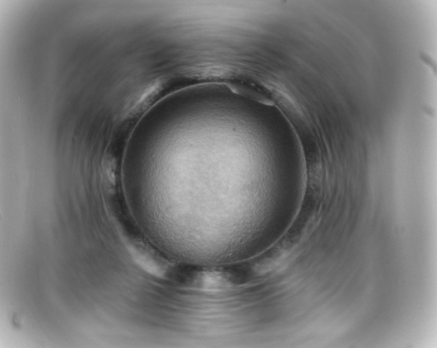 X0000099380264200805081452