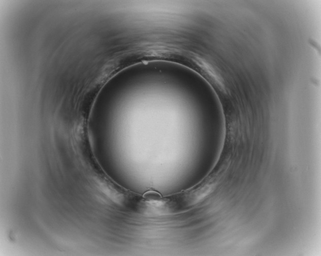 X0000099380265200805081452