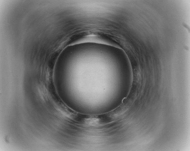 X0000099380266200805081452