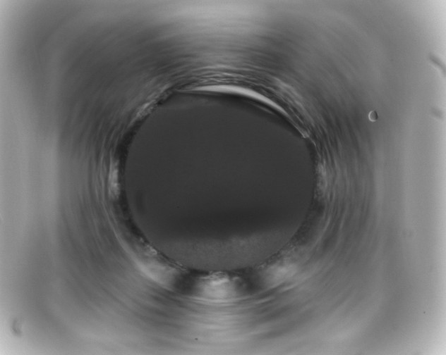 X0000099380267200805081452