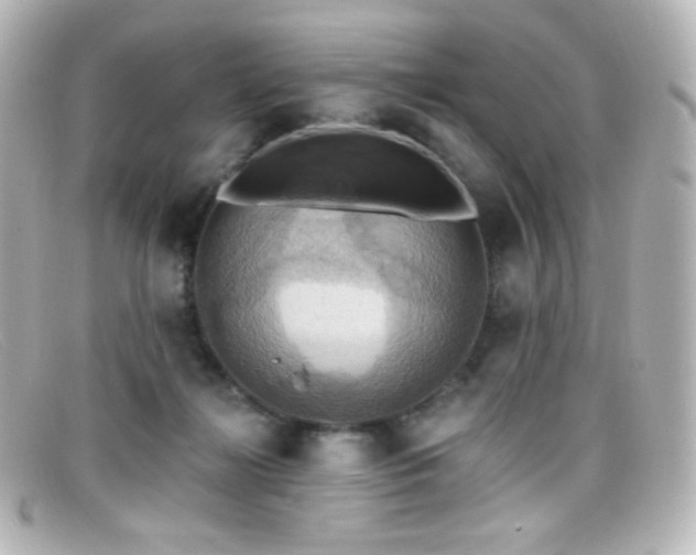 X0000099380268200805081452