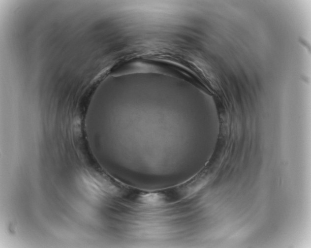 X0000099380269200805081452