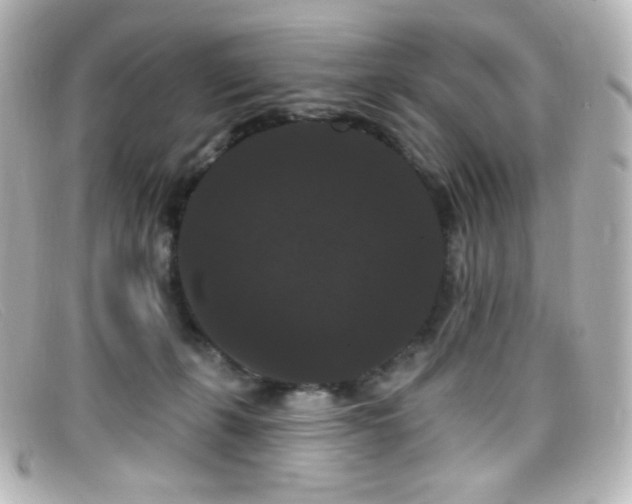 X0000099380271200805081452