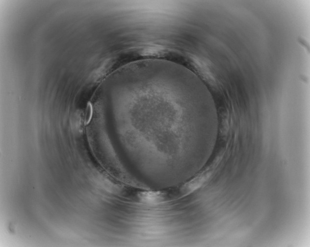 X0000099380273200805081452