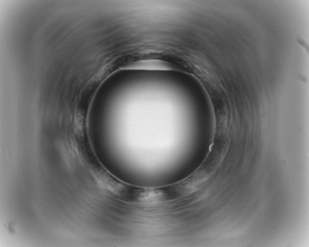 X0000099380274200805081452