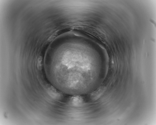 X0000099380275200805081452