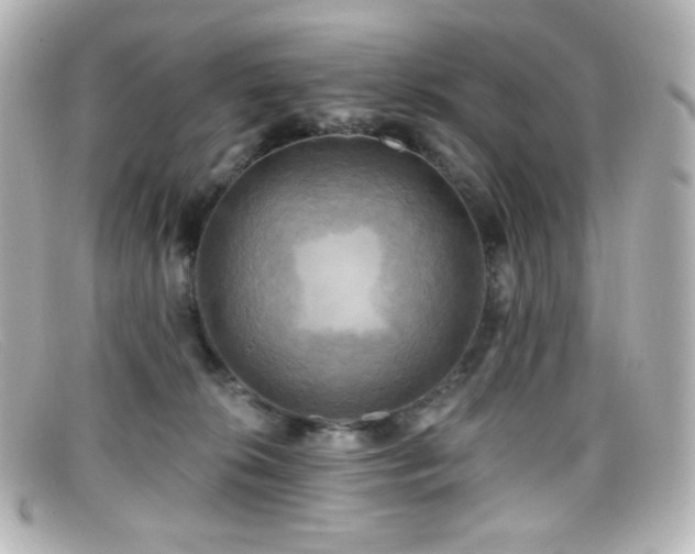 X0000099380276200805081452