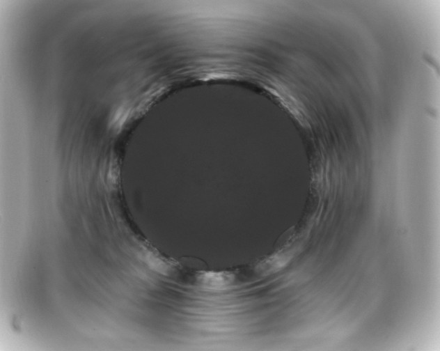 X0000099380277200805081452