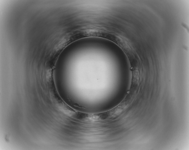 X0000099380278200805081452