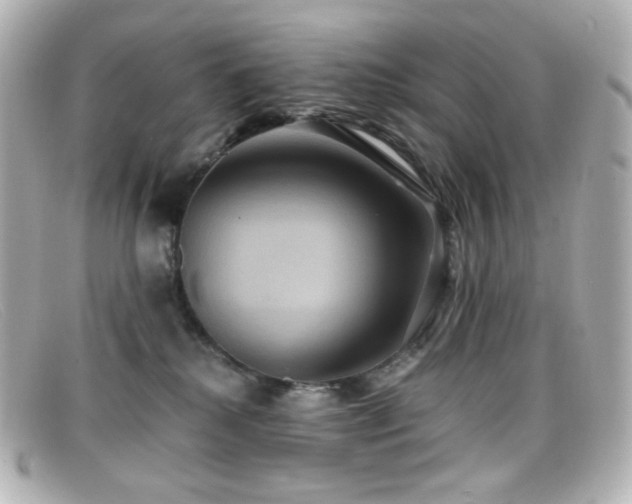 X0000099380280200805081452