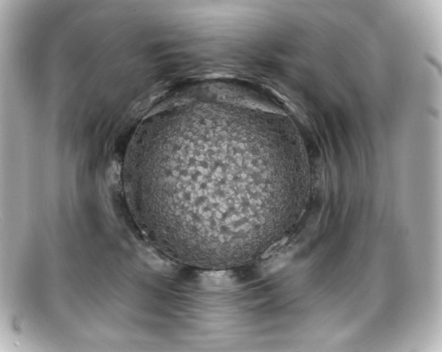 X0000099380281200805081452