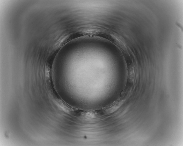 X0000099380282200805081452