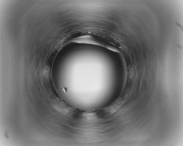 X0000099380283200805081452