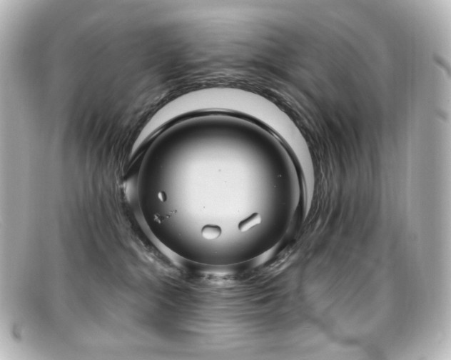 X0000099380284200805081452