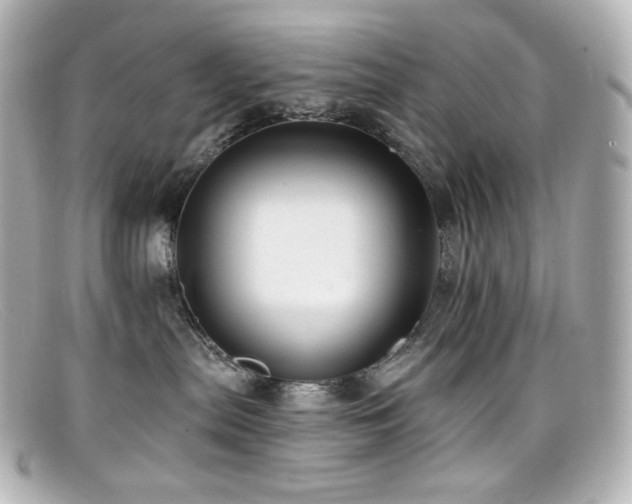 X0000099380287200805081453