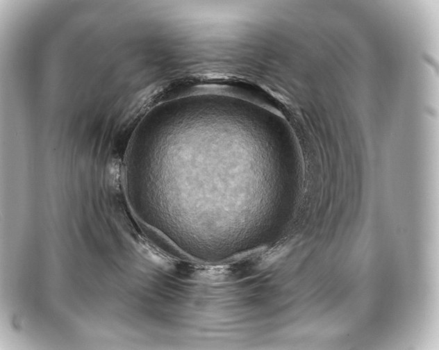 X0000099380288200805081453