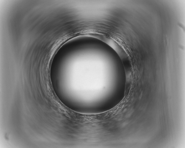 X0000099380289200805081452