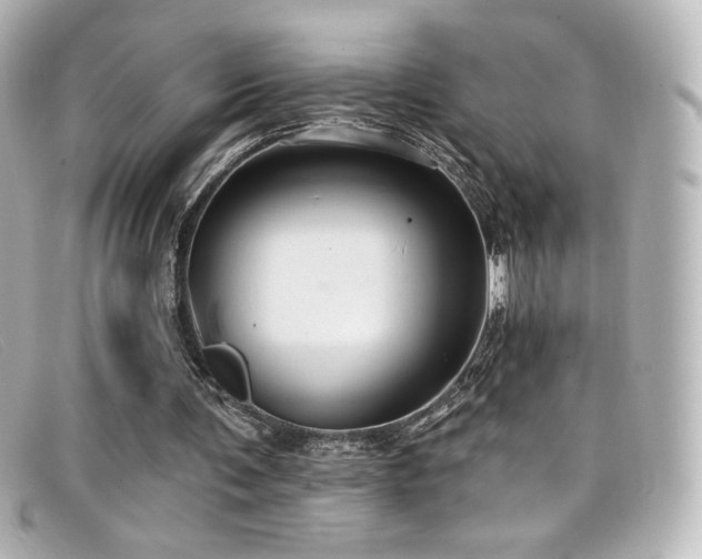 X0000099380291200805081452