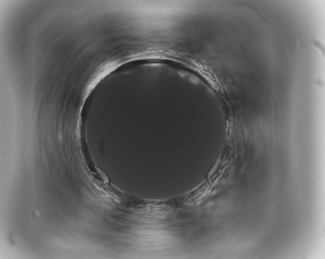 X0000099380292200805081452