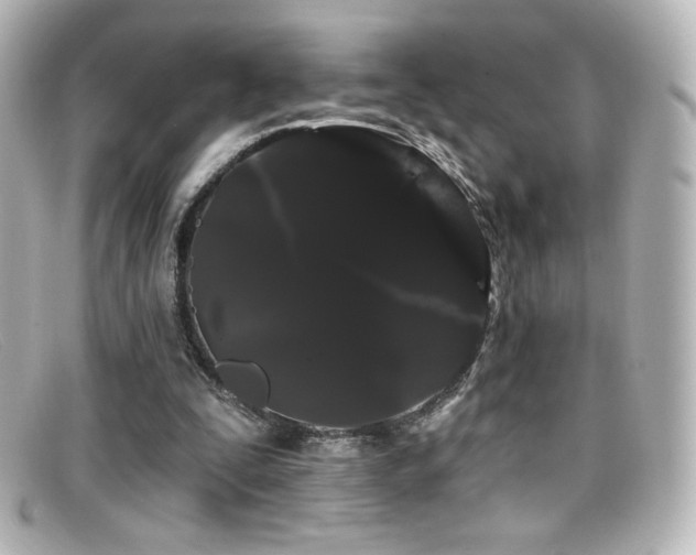 X0000099380295200805081452