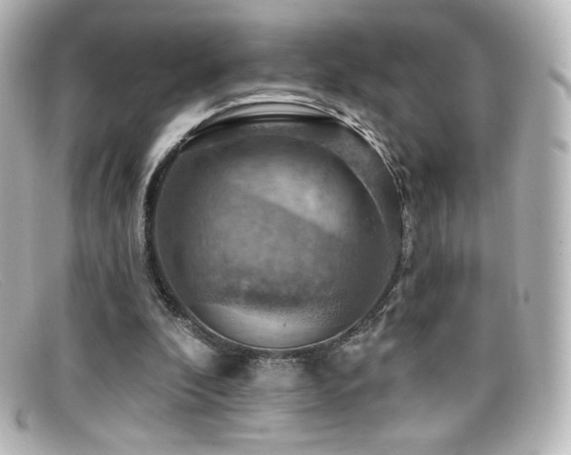 X0000099380296200805081452