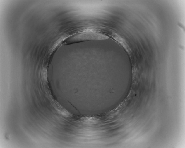 X0000099380297200805081452